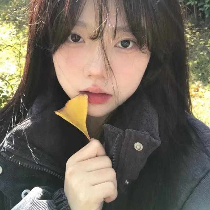 我的“狐朋狗友封面